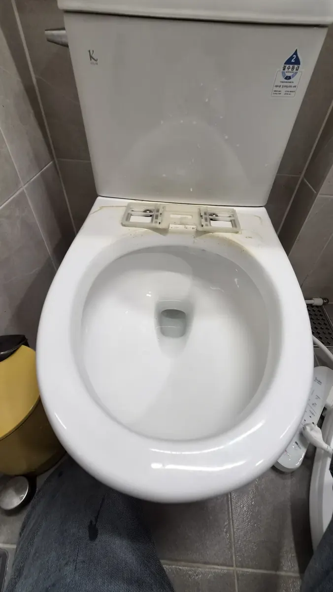 비데 고정판 — 비데를 떼어 낸 변기 위